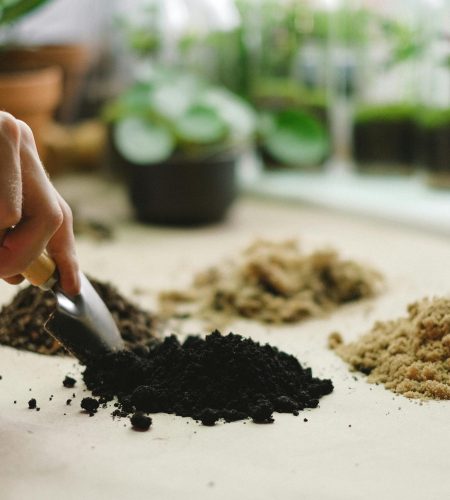 Close-up of a hand using a small shovel to sort different soil types on a table.